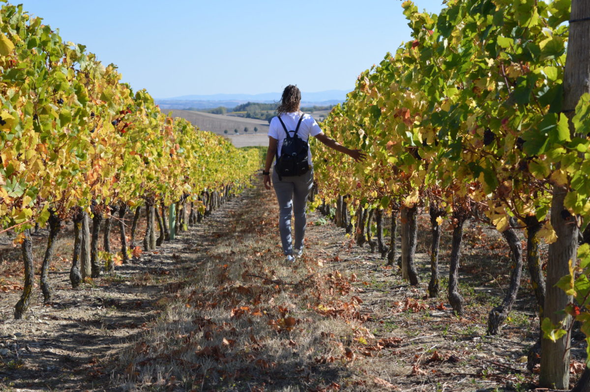 Balade au cœur du vignoble © OT Val de Sioule