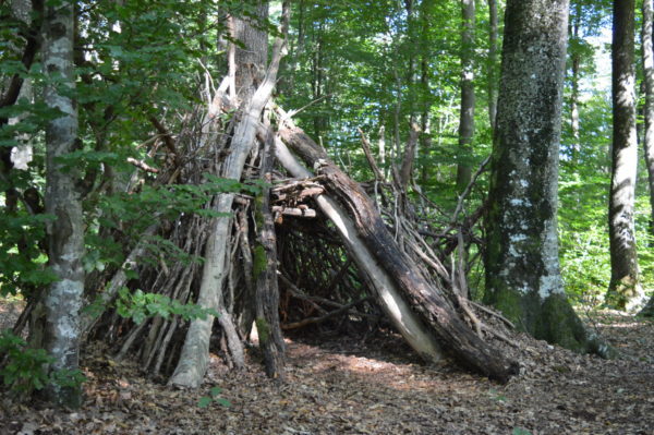 Forêt des Colettes © OT Val de Sioule