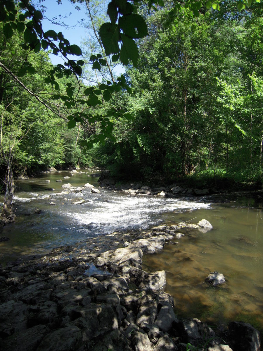 Les Gorges de la Bouble © OT Val de Sioule