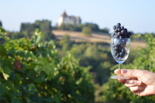 Sur les coteaux © OT Val de Sioule