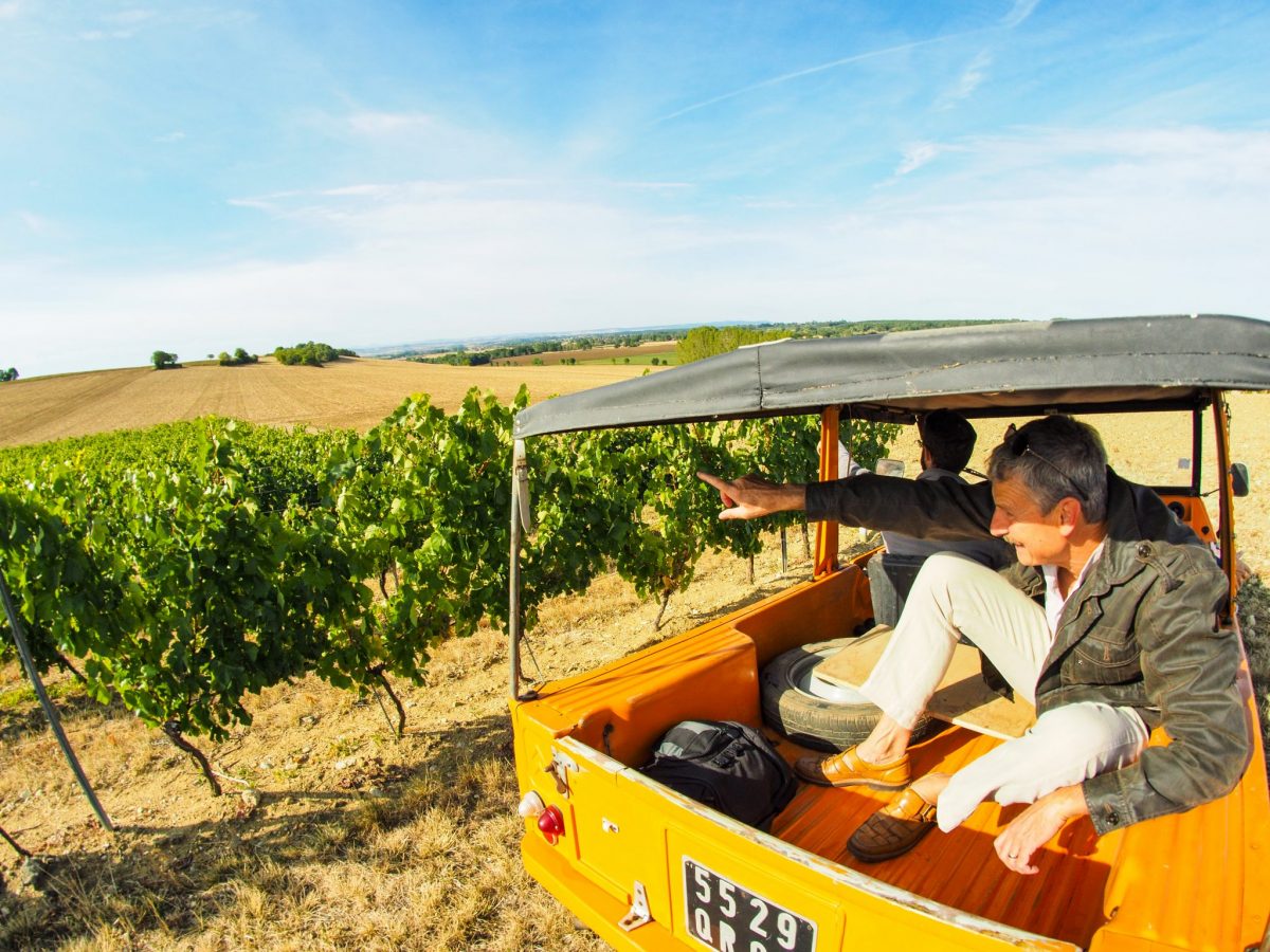 En Méhari au coeur du vignoble © F. Lacombe