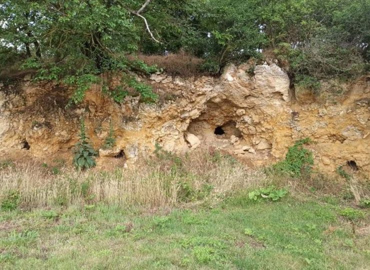 Domaine de Chazoux