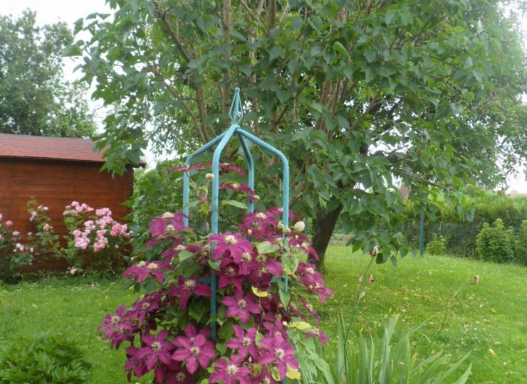 Chambres d’Hôtes Les Vignerons à Chantell