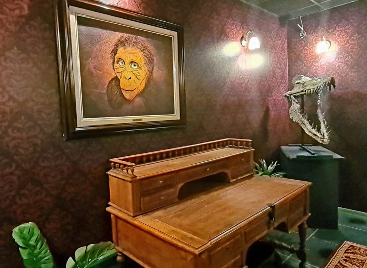 Escape Game « la face cachée de Lucy »