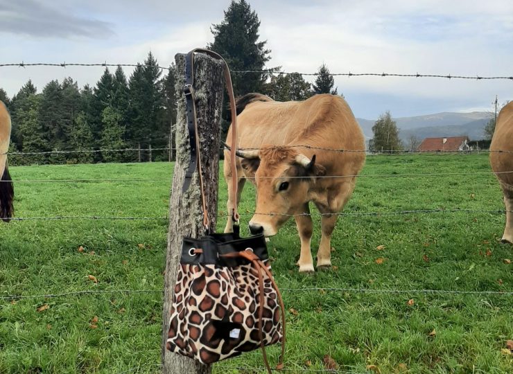 Entre Tounette et Canette