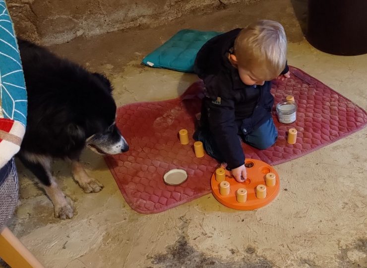 Médiation par l’animal avec chien