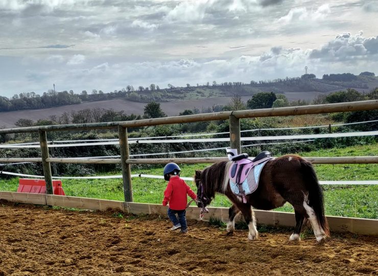 Médiation par l’animal avec poney