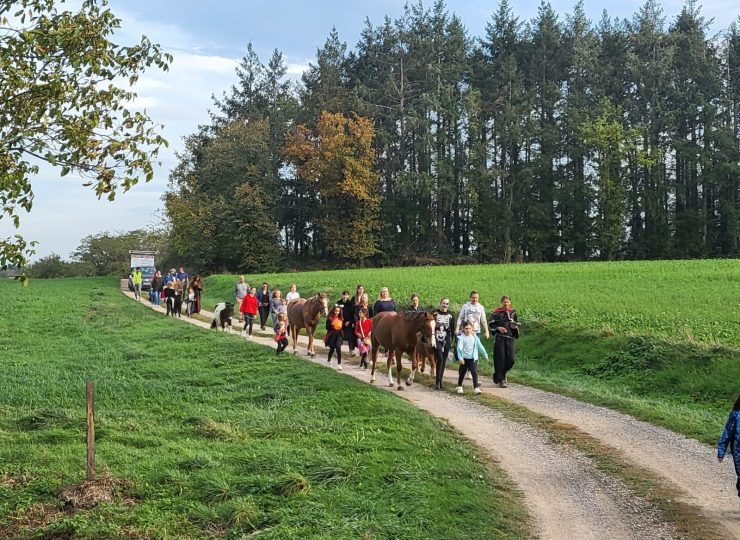 Cours d’équitation et jeux
