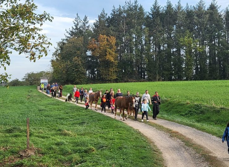 Cours d’équitation et jeux