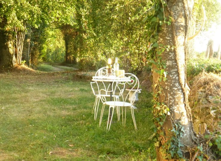 Un soir d’été dans le jardin ouest, côté forêt des Colettes