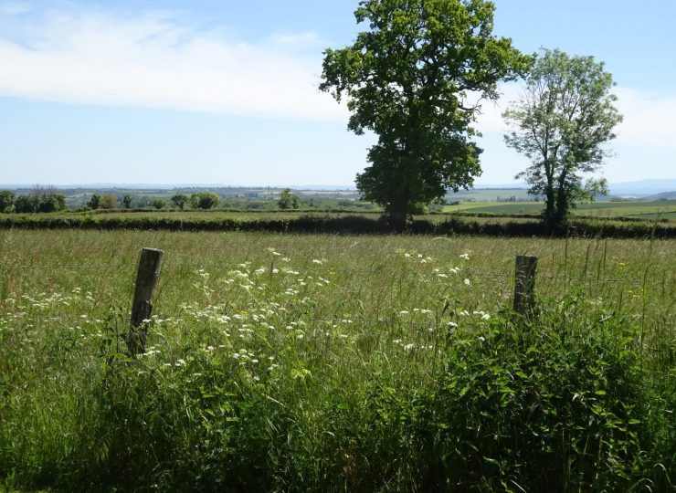 Le pré devant le jardin et la vue vers Charroux