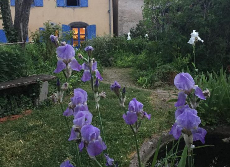 Un petit coin du Jardin