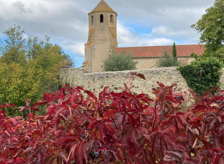 Collégiale Saint-Pierre