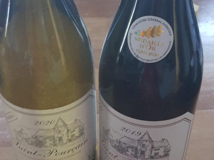 vin de St pourcain sur sioule