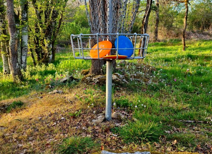 Disc Golf