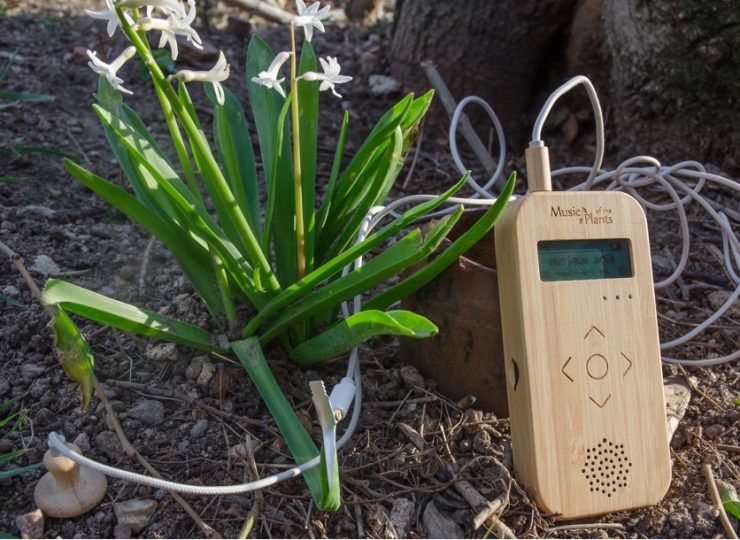musique des plantes
