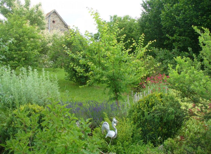 Le jardin