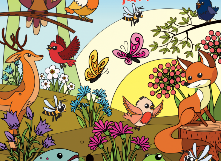 Fête de la Nature – Sortie Gravel_Verneuil-en-Bourbonnais