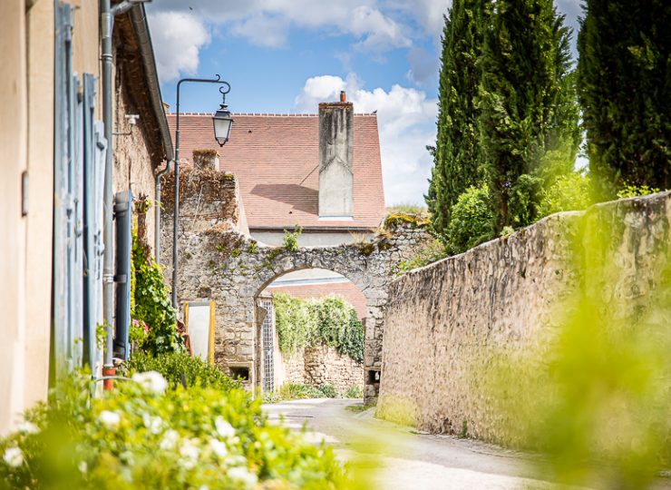 Fête de la Nature – Sortie Gravel_Verneuil-en-Bourbonnais