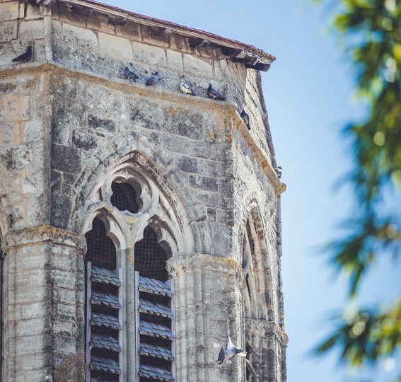 Charroux, la médiévale « Plus Beaux Villages de France »_Charroux