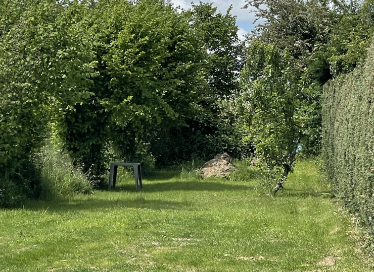 Jardin à l’arrière de la maison, arboré et au calme