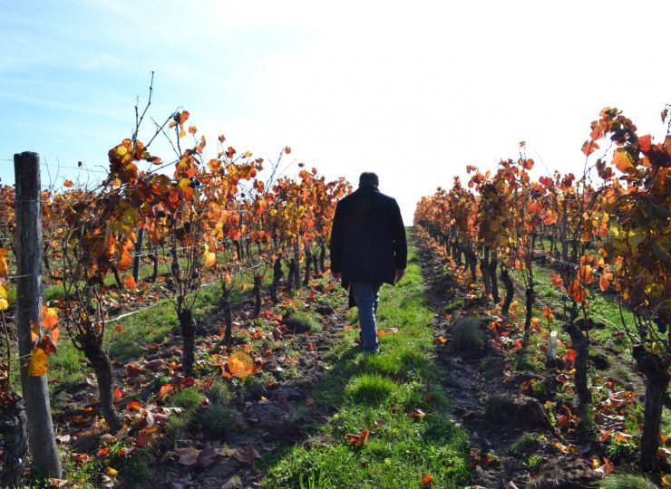 Les terres d’Ocre