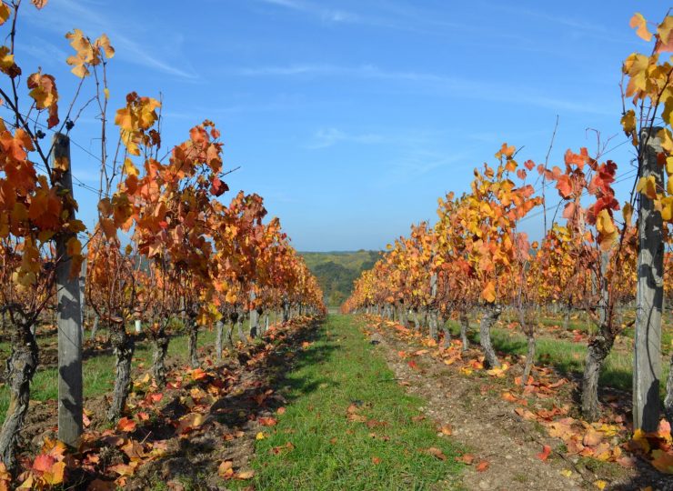 Les terres d’Ocre