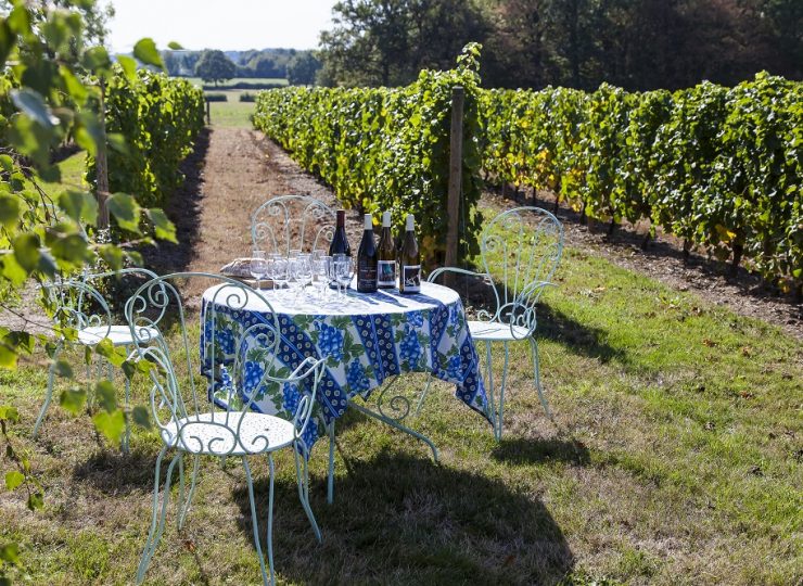 Au milieu des Vignes © De Jonghe