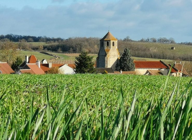 Verneuil-en-Bourbonnais © OT Vds