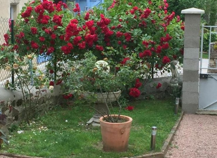 La Maison aux Hortensias