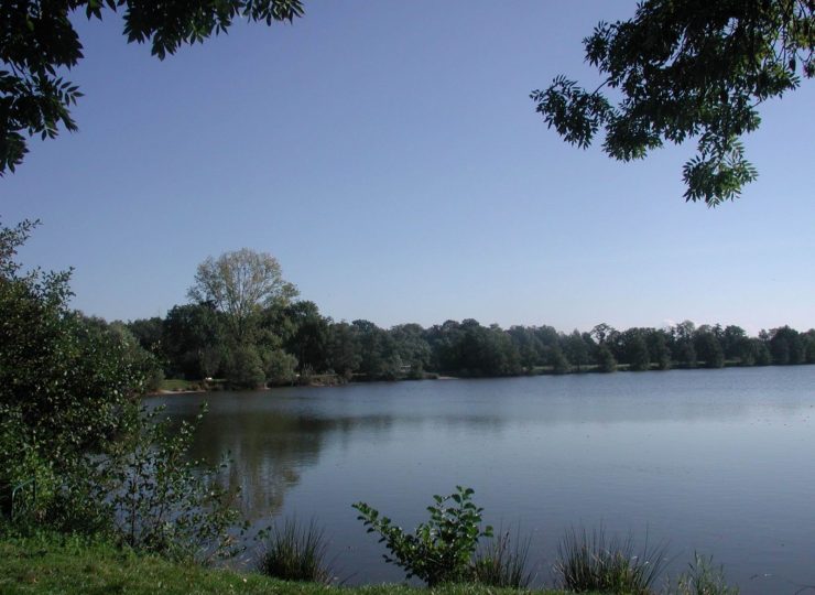 Etang de Gouzolles